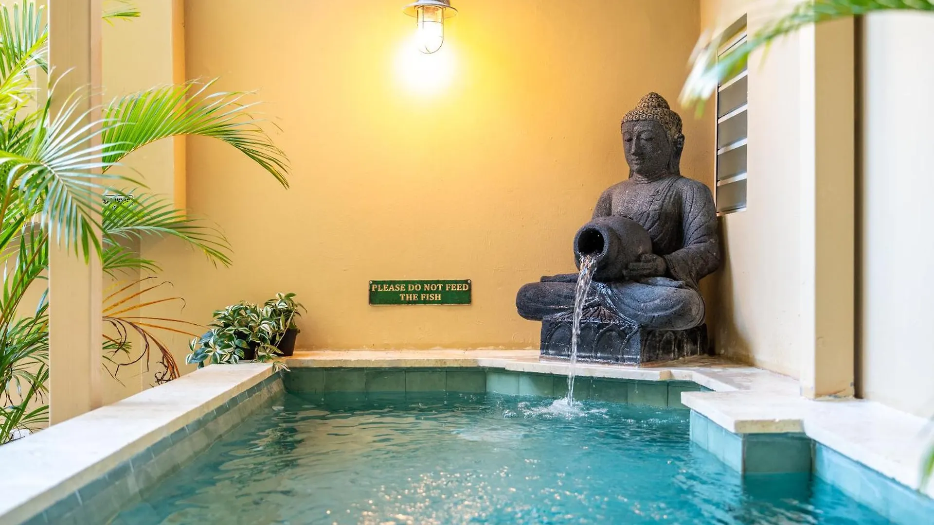 Ayana Inn Pr 圣胡安